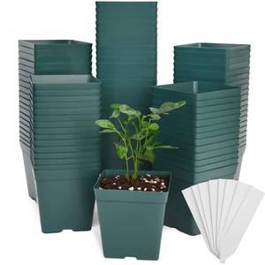 lot 4362 image: June Fox 100 Pack Green Square Nursery Pots with Drainage Holes 3.3 Inches Flexible Plastic Seedling Pots Square Pots for Plants, Succulent, Flower, with Plant Labels