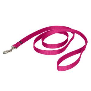 lot 10475 image: PetSafe Nylon Leash - Helps Maintain Secure Connection on Walks - Durable Pet Leash with Easy Clip - 34 in. x 6 ft. - Deep Purple