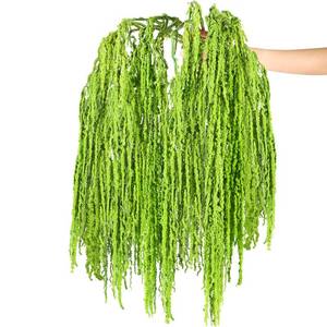 lot 14393 image: Suncalla 12 Pcs Green Spring Natural Dried Amaranthus Hanging Flowers Amaranthus Artificial Flowers for Wedding Arch Bouquet Floral Garland Wall Home Decoration (23 Inch)