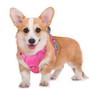 lot 16043 image: BARKBAY No Pull Dog Harness Large Reflective Dog Harness with Front Clip and Easy Control Handle for Walking Training Running with ID tag Pocket(Pink,M)