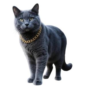lot 16073 image: Cwyza Gold Cat Chain Collar,Adjustable Cuban Link Necklace for Cats, Lightweight & Durable Metal Pet Gift, Stylish Decorative Accessory (Gold, M)
