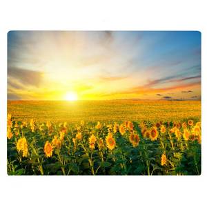 lot 16139 image: Summer Sunflower Summertime Beach Season Pattern Kitchen Glass Cutting Board Decorative Mothers Day Gift For Summer Sun (Sunflower)