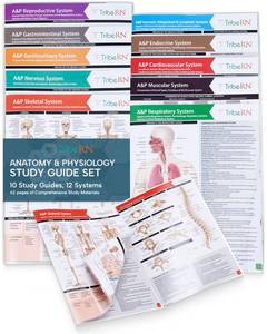 lot 18445 image: TribeRN Anatomy & Physiology Study Guides - Set of 10 Human Anatomy Guides for Nursing Students, School, College, Medical Professions - 12 Topics on Body Systems w Reference Charts & Terminology