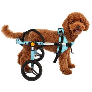 lot 1332 image: TailWaggers Small Dog Wheelchair for Back Legs  Adjustable Mobility Aid  All-Terrain Wheels for Pets that fit a Teddy Dogfts Size