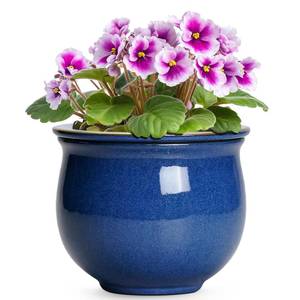 lot 9094 image: Teagas 6 Inch Self Watering Pots, Ceramic African Violet Planter with Absorbent Inner Pot, Round Flower Pot for Indoor Plants, Ceramic Pots for Plants, Room Home Decor, Plant Lover Gifts, Blue