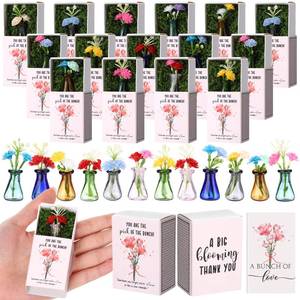 lot 10178 image: 12 Sets Thank You Bulk Gifts for Women Mothers Day Teacher Appreciation Positive Mini Bud Vases with Flowers Office Desk Decor Mini Box Breathing Gifts for Nurse Graduation Office Coworker (Mix Color)