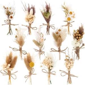lot 12327 image: 12 Pack Dried Flower Bouquet Mini Natural Pampas Grass for Crafts Small Dried Embossing Florat with Stem Boho Artificial Arrangement Wedding Derco Flowers Bundles for Vases, Wedding, Home, Party