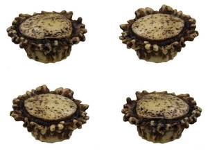 lot 16182 image: Old River Antler Drawer  Cabinet Knobs (4 Pack) - 2 Sizes of Screws and Washers Included
