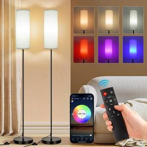 lot 19511 image: FRIDEKO HOME 2 Pack Floor Lamps for Living Room, Dimmable Colors Temperature and Brightness, Modern Floor Lamp with Remote, Tall Standing Lamps for Living Room Bedroom Office, White Shade 9W Smart Bulb