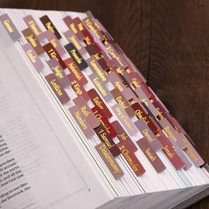 lot 20241 image: Thinkor Laminated and Repostion Bible Tabs, Gold Foil Large Print Christian Gift for Women and Men, Easy to Read and Apply Bible Journaling Tabs (Gold Earth Tone)
