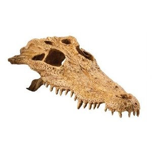 lot 20275 image: Exo Terra Crocodile Skull Terrarium Decoration