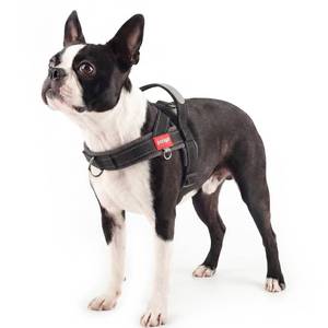 lot 20283 image: pangdi No Pull Dog Harness with Handle, Yorkie Adjustable Reflective Dog Vest, Breathable Air Mesh Padded Pet Harness with Front Leash Clip for Small Medium Dogs, Black, S