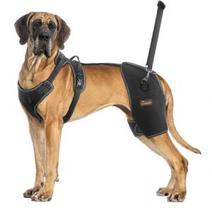 lot 10328 image: CHAMIN Dog Hip Brace with Back Handheld Design, Support for Hip Dysplasia, Arthritis, Back Leg limping, Reduce Hip Pain and Accelerated Recovery After Surgery etc(Extra Extra Large)