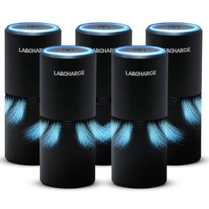 lot 10437 image: LabCharge Small Ionic Air Purifier for Home and Bedroom � Silent HEPA Filter � Covers 250 Sq Ft - Free Cleaner for Pets, Hair, Smoke, Dust, Odors and Dander � Compact and Black Design - Pack of 5
