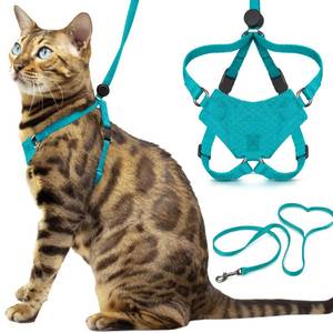 lot 12227 image: Houdini� Escape Proof Cat Harness and Leash Set by OutdoorBengal � Turquoise, Medium Cat Harness for Walking
