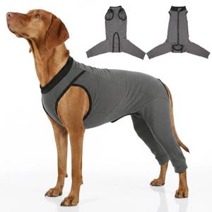 lot 12257 image: Comfort Fabric Dog Surgery Recovery Suit with Rear Leg Sleeve to Stop Licking, Machine Washable Dog Neuter Recovery, Soft Surgical Suit for Dogs Male Neuter, Post Spay Surgery Onesie Female, Gray XXL