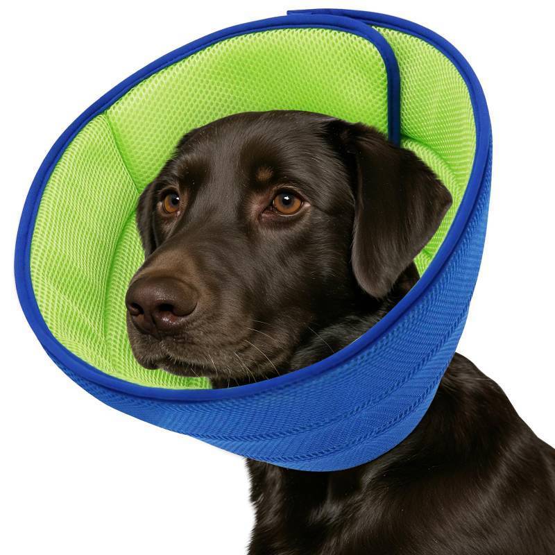 lot 12390 image: Soft Dog Cone Collar Alternative - Adjustable Comfy Cones for LargeMediumSmall Dogs to Stop Licking After Surgery, Comfortable Fabric Elizabethan Collars, Head Cone of Shame for Neuter Recovery - L