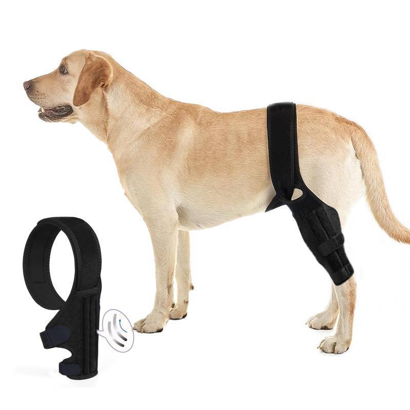 lot 16285 image: Tinzum L Dog Knee Brace for Torn ACL Hind Leg, Dual Rear Leg Support with 4 Metal Stabilizers, CCL Brace for Dogs with Hip Dysplasia, Luxating Patella & Arthritis