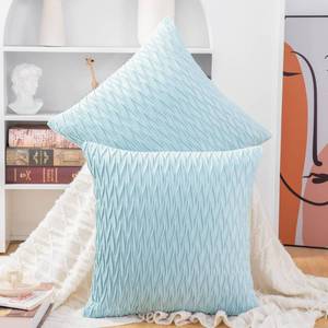lot 18390 image: MADIZZ Set of 2 Super Soft Velvet Decorative Throw Pillow Covers 22x22 inch Light Blue Square with Texture Luxury Style Cushion Case Pillow Shell for Sofa Bedroom - Retail $22