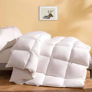 lot 2753 image: $160 DWR Luxury Feather Down Comforter, Oversized King, 120x98, White