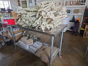 lot 20604 image: Contents of Table Including Bar Glasses, CD Collection, and Halloween Skeletons