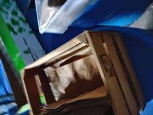 lot 18575 image: 4ft Light Bulbs, Shrink Wrap, and Bulk Lot of Paper Bags