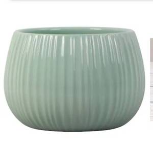 lot 6894 image: allen  roth Round 8.0-in W x 8.0-in L x 5.31-in H Aloe Ceramic Indoor Planter 2pcs