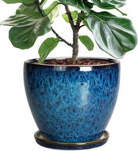 lot 2372 image: 10 Inch Ceramic Planter Pot Round Plant Pot for Indoor Plants Outdoor Large Flower Pot with Drainage Hole and Saucer Blue