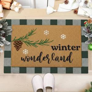 lot 4068 image: 2 Pcs Winter Wonderland Coir Doormats Outdoor Welcome Door Mats Layered Buffalo Plaid Snowflake Front Door Rugs Non Slip Floor Mats for Porch Entryway Indoor Outdoor Decor