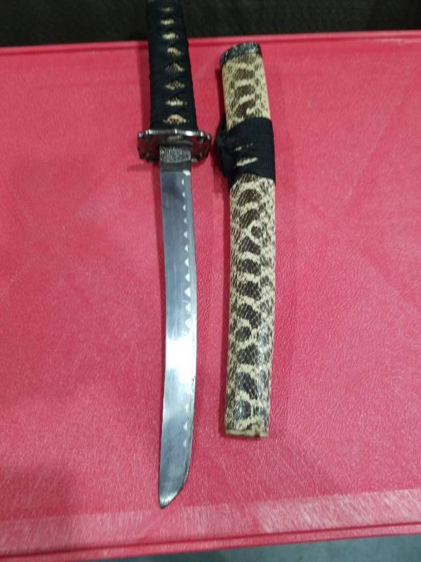 lot 3839 image: Japanese Tanto Sword with Snakeskin Pattern Saya