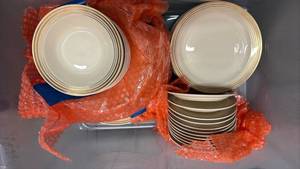 lot 58988 image: Taylor Smith Restaurant Ware Dinner Plates set  - Retail $45