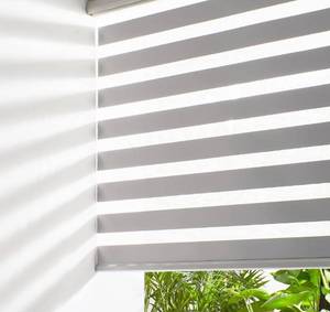 lot 5707 image: Persilux Cordless Zebra Blinds for Windows Free-Stop Roller Windows Shades (46 W X 72 H, Grey) Dual Layer Light Control for Day and Night, Light Filtering Sheer Shades for Home