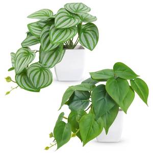 lot 5769 image: Der Rose 2Pcs Small Fake Plants Artificial Mini Faux Plants for Bathroom Office Desk Shelf Table Accessories Decor Indoor