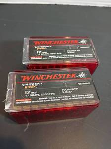 lot 319 image: Winchester Ammo