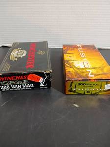 lot 333 image: Fusion and Winchester Ammo