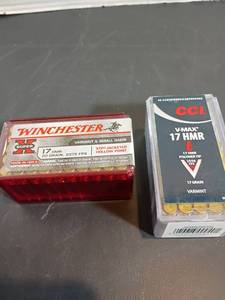 lot 336 image: CCI and Winchester Ammo
