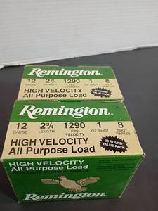 lot 348 image: Remington Ammo