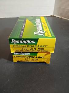 lot 381 image: Remington Ammo