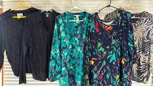 lot 2047 image: Womens Blouses XL