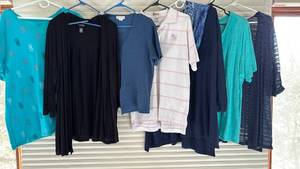lot 2103 image: Womens Dresses and Tops L X XL