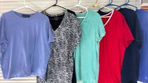 lot 2106 image: Another Womens Tops XL