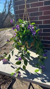 lot 3007 image: Hanging floral basket