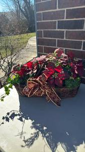 lot 3008 image: Basket with Poinsettias and Ivy