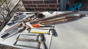 lot 3065 image: Saws, Yard Tools and more
