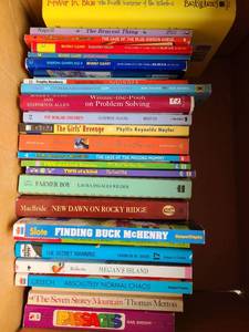 lot 3146 image: Childrens books, including Finding Buck McHenry.