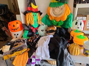 lot 3336 image: Halloween costumes and more