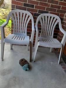 lot 5000 image: 2 outdoor chairs and a shoe scraper.