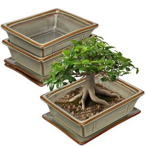 lot 50728 image: Ceramic Bonsai Pots with Drainage Tray, Set of 2 Rectangular Glazed Bonsai Planters for IndoorOutdoor Use, Shallow Brown Bonzai Tree Pots for Succulent, Orchids, Cacti, Home, Patio, Garden, 7.5x5.5 - Retail $30