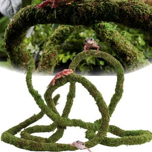 lot 50734 image: USMOLA Moss Vine for Reptiles, Bendable Climbing Vines Reptile Tank Accessories, Natural Moss Rope for Leopard Gecko, Lizard, Snake, Chameleon, Frog Terrarium Decor (Jungle Green, 9.8 FT) - Retail $13