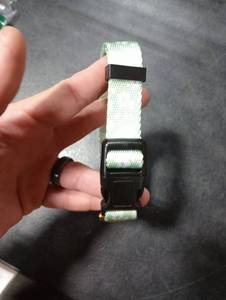lot 3667 image: Small Dog Collar Mint Green and White Flowers